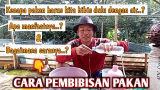 CARA BIBIS PELET IKAN LELE DENGAN EM4