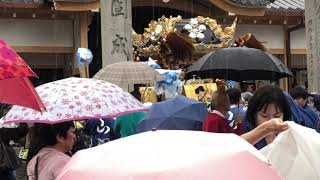 祝 播州秋祭り 英賀神社 拝殿 祝賀祝い