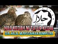 SIJIL HALAL - LEBIH RAMAI PENIAGA MELAYU TUTUP KEDAI | MEMPERKAYAKAN TOWKEY CHIN4 | Ustaz Shamsuri