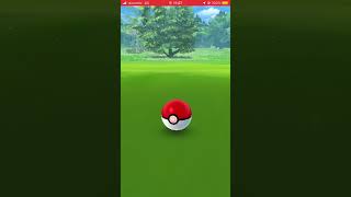 ポケモンGO パッチールのリサーチクリア‼️ 色違いくるかー⁉️