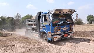 Super Truck Stuck In Sand, ជាប់ផុងក្នុងខ្សាច់ - HINO Truck, NISSAN UD , CAT312