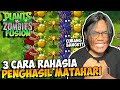 3 CARA RAHASIA PENGHASIL MATAHARI DI PLANTS VS ZOMBIES FUSION