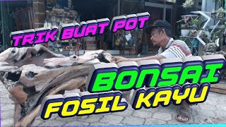 Buat pot Bonsai motif Fosil kayu terkini sangat unik dan megah,kelas mewah