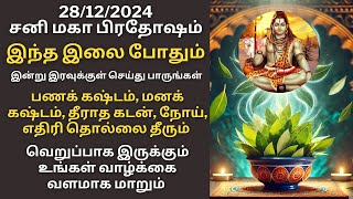 இன்று சனி மகா பிரதோஷம் இந்த இலை போதும் எவ்வளவு பெரிய கஷ்டமும் தீரும்|Aathi Varahi