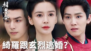 「相思令」為阻婚玄烈直接打暈綺羅帶走，綺羅還給玄烈擋刀祈民心碎！ | WeTV