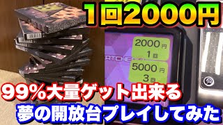 【1回2000円】99%大量ゲット可能な夢の開放台プレイしてみたw【クレーンゲーム】