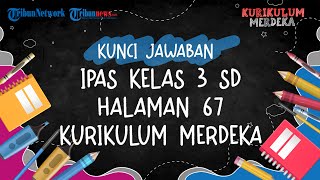 Kunci Jawaban IPAS Kelas 3 SD Halaman 67 Kurikulum Merdeka: Komponen Biotik dan Abiotik