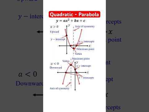 What is the vertical line that goes through the vertex called?