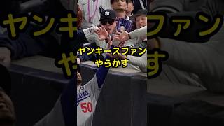 【㊗️ワールドシリーズ制覇】ヤンキースファンの前代未聞の行動に賛否両論！ #ドジャース #野球 #大谷翔平 #プロ野球 #mlb #ヤンキース