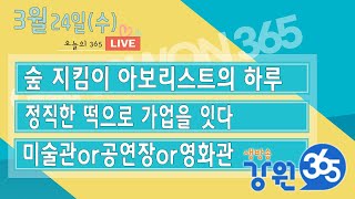 LIVE 오후6시10분~ [강원365_3월24일(수) 방송] 숲 지킴이 아보리스트의 하루/정직한 떡으로 가업을 잇다/미술관or공연장or영화관