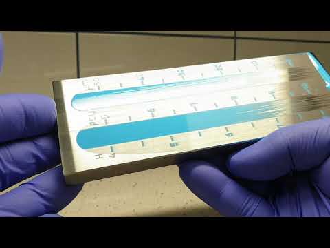 How do you check for pigment dispersion?