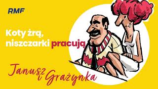 Koty żrą, niszczarki pracują | Janusz i Grażynka