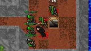 Tibia 7.5 A way to die in Orc Fortress.