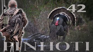 !! A FIRST FOR ME !! SURROUNDED by MERRIAMS TURKEYS | IDAHO NATIONAL FOREST GOBBLERS- Pinhoti 2022