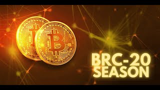 COMMENT INVESTIR DANS LE BRC-20 ( NFT SUR BITCOIN)