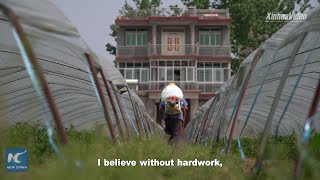 Impoverished Chinese villager becomes millionaire through pepper-growing