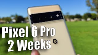 Pixel 6 Pro Two Week Review: Just the beginning...