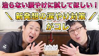 【涙やけ改善の救世主！？】愛犬の目・涙の悩みにおすすめ！〈アイゾーンローション〉をペットショップ店長が解説します！