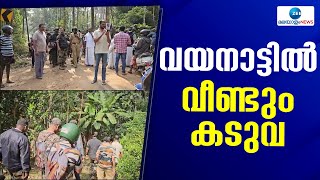 Wayanad Tiger | കടുവയെ നേരിൽ കണ്ടതോടെ കടുത്ത ഭീതിയിലാണ് വയനാട് പുൽപ്പള്ളിയിലെ  ഗ്രാമങ്ങൾ