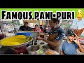 FAMOUS PANI-PURI IN ANAND, GUJARAT | #pratikahirvlog #panipuri #food #vlog