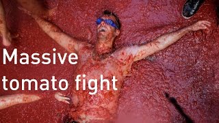 Thousands take part in Spain's annual tomato fight 2016