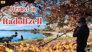 Radolfzell on Lake Constance in Autumn 2024 / Beautiful Lake Constance / 4K Walk/Germany/Konstanz