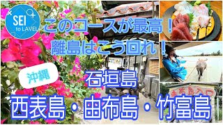 【西表島・由布島・竹富島】出来るなら１日に２つの島を回れ！イリオモテヤマネコの日があるの知らなかった！？