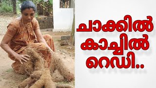 ചാക്കിലെ കാച്ചിലും വിളവെടുപ്പും 💯#farming #daily #agriculturelife #agriculture