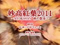 妙高紅葉2011