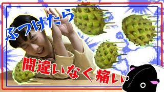 【アテモヤ】森のアイスクリーム食べてみた