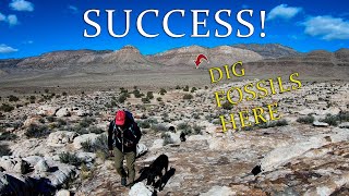 Hiking Fossil Mountain in Utah's Confusion Range.