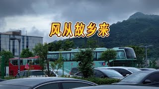 教育心得：小学副校长27年的教育心路历程 83