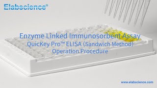 QuicKey Pro™ ELISA Sandwich Method Operation Procedure