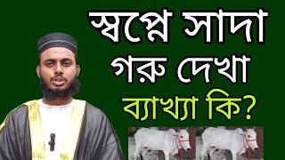 স্বপ্নে সাদা রঙের গরু দেখলে ব্যাখ্যা কি হবে? | sopne sada goru dekle ki hoy? | হাফেজ বাহাউদ্দিন আলিফ