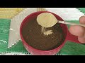 how to make coffee without a coffee maker የኔ ቡና አፈላል