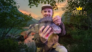 perch.pl duży okoń na imitację pijawki | Big perch hooked on artificial leech bait