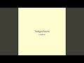 Twilight Storm