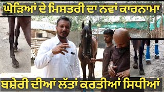 ਘੋੜਿਆਂ ਦਾ ਮਿਸਤਰੀ ਵਿਕਰਾਂਤ ਸ਼ਰਮਾ,,, visit on bad stud farm Ludhiana, New video