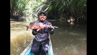 MANGROVE JACK FISHING IN A MURKY AND SMALL BUT DEEP RIVER,...........