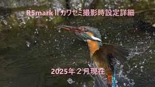 R5markⅡでカワセミ撮影　設定覚書　2025年2月現在