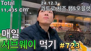 치즈 가득 신메뉴🧀🧀!! 매일 서브웨이 먹기 723개째/ Everyday Subway Eating, Mukbang, Everyday Subway diet #723