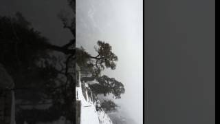 Snowfall on top of Triund in winter.