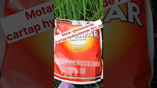 😎Cartap hydrochloride 75% SG |Dhanuka motar insecticide |#shorts