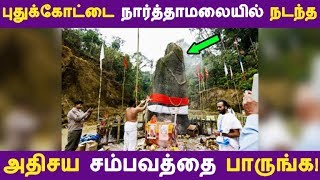 புதுக்கோட்டை நார்த்தாமலையில் நடந்த அதிசய சம்பவத்தை பாருங்க! | Tamil News | Tamil Seithigal