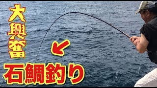 連発！【石鯛釣り】銭洲で石鯛のアタリが止まらない！