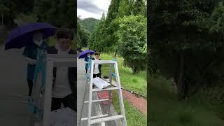 【柚子の収穫】山梨県身延町4