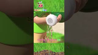 Gardening Song #Shorts   CoComelon Nursery Rhymes and Kids Songs