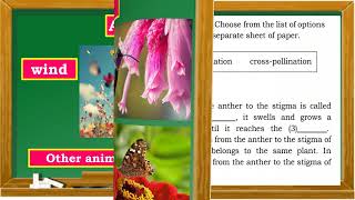 SCIENCE 5 Q2 W6_Modes of Reproduction inFlowering and Non-FloweringPlants