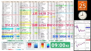 【12/25/2024】株の急騰急落を音声でお知らせ【NY市場｜ダウ４日続伸＋0.91%｜ナスダック３日続伸＋1.35%】