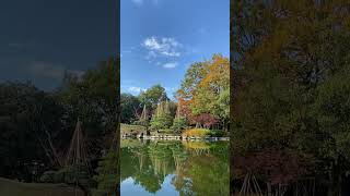 福井の街中で秋を楽しむ！【養浩館庭園】🍁✨